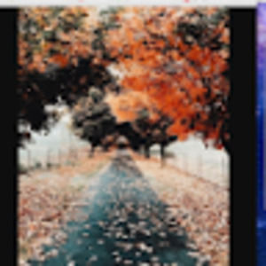 Meet your Posher, Gia